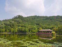 -顺峰山公园