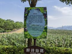 -北京张裕爱斐堡酒庄