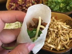 -杨姨妈丝娃娃(花果园店)