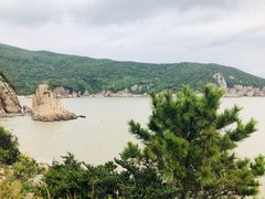 -花岙岛
