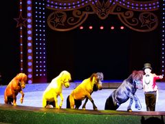 -珠海横琴长隆《卡卡虎奇遇记》