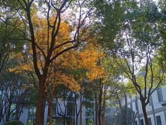 -星巴克(绍兴柯桥柯岩景区店)