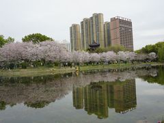 -堤角公园