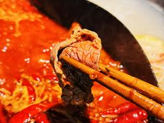 -阳阳老火锅(小南门店)