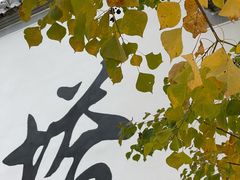-塔川景区