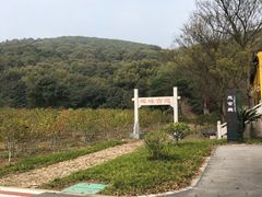 -龙寺生态园