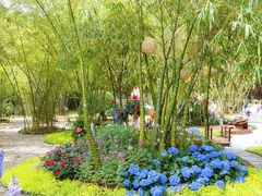 -深圳仙湖植物园