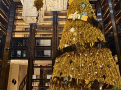 -行者书屋大堂吧 ·下午茶(南京圣和府邸酒店)