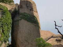 -崂山仰口游览区