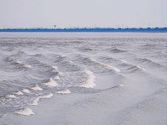 -观潮胜地公园