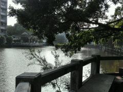 -黄埔古港