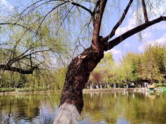-翠湖公园