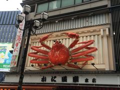 -蟹道乐(道顿堀本店)