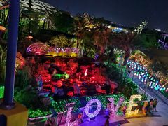 -大信·云顶星河游乐王国