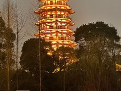 -洋湖国家湿地公园