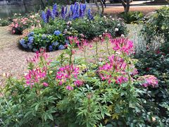 -人民公园(罗湖区)