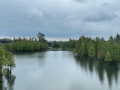 -白鹭湾湿地公园