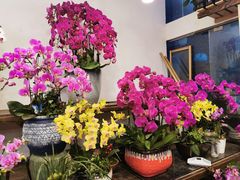 -双季花艺园艺市场(浦东店)