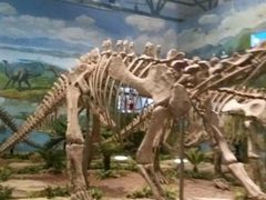 -自贡恐龙博物馆