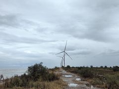 -聚盛源蒸汽海鲜火锅烤肉自助(巨川金海岸购物广场店)