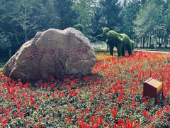 -长白岛森林公园