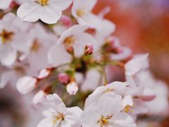 -龙美术馆(西岸馆)