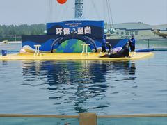 -秦皇岛乐岛海洋王国