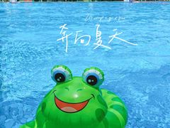 -苏州乐园森林水世界