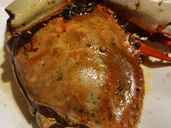 -老号尤兔头(西川店)