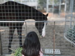 -迪茵湖田家舍生态农场