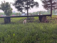 -枫花园汽车电影院(朝阳公园店)