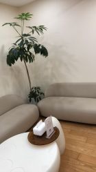 -HEYAN荷妍专业脱毛连锁机构