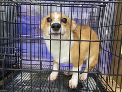 -爱脊康新中式推拿(江汉路步行街店)