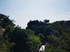 -大岭沟猕猴桃谷风景区