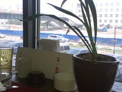 景观位-啪啪嘶(长春大学店)