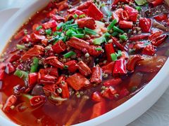 极品毛血旺-辣婆婆(航天桥店)