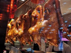 -陈鹏鹏潮汕菜(宝安机场T3航站楼店)