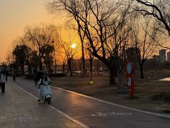 -商丘市人民公园