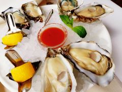 -Oyster Talks 四度蚝法餐厅