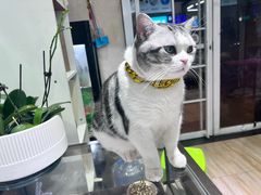 -百金通黄金回收首饰定制维修(珠江路总部)