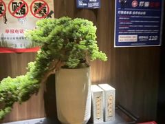 -江南足纪·影院足道·轻奢SPA(笋岗HALO广场店)