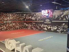-VS SPORTS PARK运动玩乐园·团建·生日会(合生汇店)