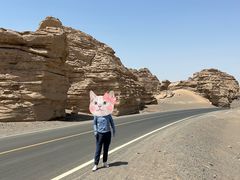 -哈密雅丹大海道景区