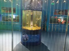 -沙沙哗啦海洋馆(华宇百花谷店)