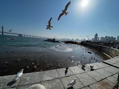 -星海广场