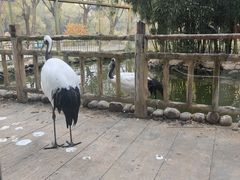 -石家庄市动物园