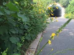 -北京宽沟会议中心