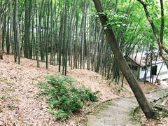 -杭州黄龙洞
