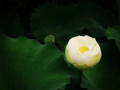 -黄兴公园