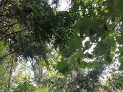 -山王坪喀斯特国家生态公园